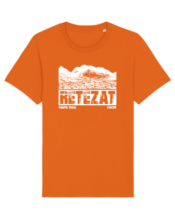 Călător în România - Vf Mare in Retezat Bright Orange