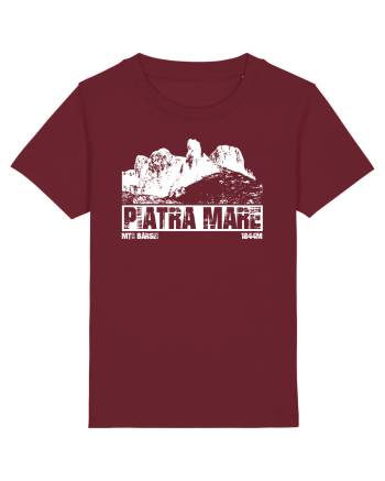 Călător în România - Vf Piatra Mare Burgundy