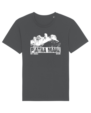 Călător în România - Vf Piatra Mare Anthracite
