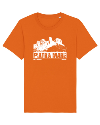 Călător în România - Vf Piatra Mare Bright Orange