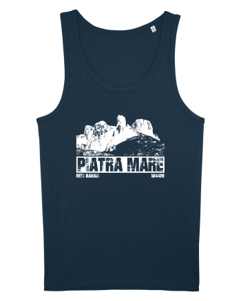 Călător în România - Vf Piatra Mare Navy