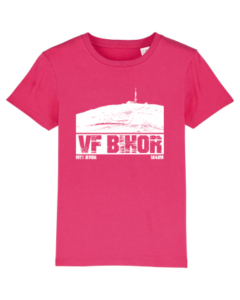 Călător în România - Vf Bihor Raspberry