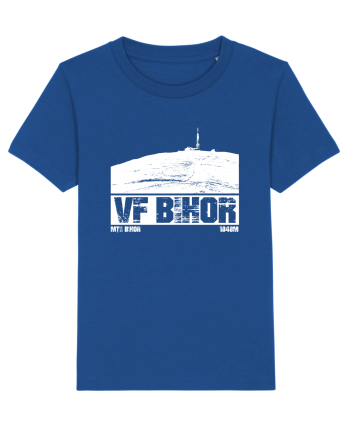 Călător în România - Vf Bihor Majorelle Blue