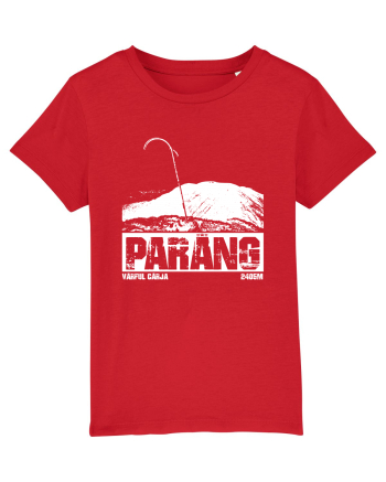 Călător în România - Vf Cârja in Parâng Red
