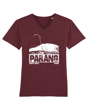 Călător în România - Vf Cârja in Parâng Burgundy