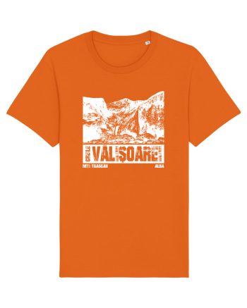 Călător în România - Cheile Valișoarei Bright Orange