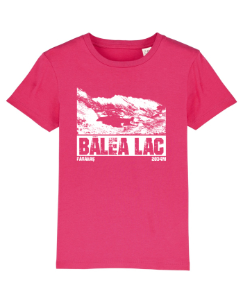 Călător în România - Bâlea Lac Raspberry