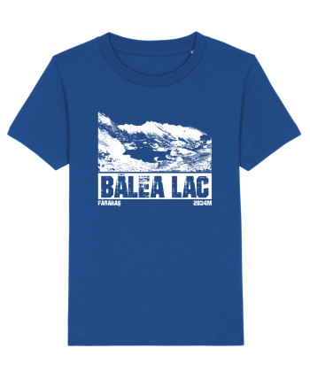 Călător în România - Bâlea Lac Majorelle Blue