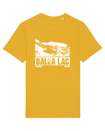 Călător în România - Bâlea Lac Spectra Yellow