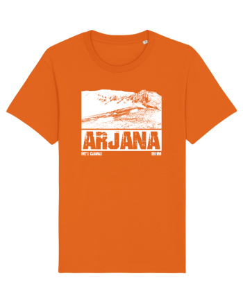 Călător în România - Vf Arjana in Mții Cernei Bright Orange