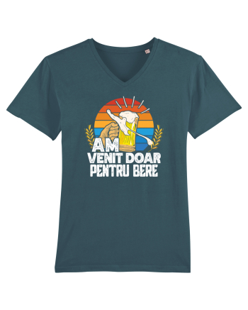 pt iubitorii de bere - Am venit doar pentru bere Stargazer