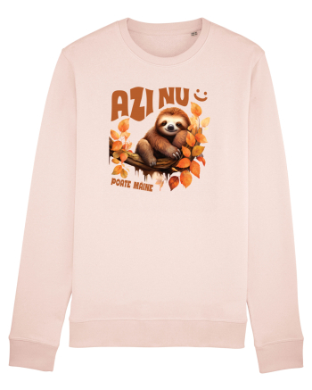 Azi nu, poate mâine Candy Pink