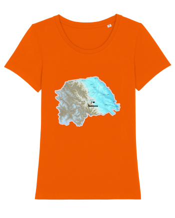 Suceava County Map Bright Orange