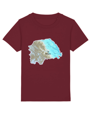 Suceava County Map Burgundy