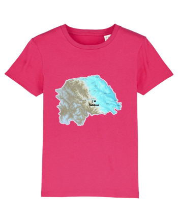 Suceava County Map Raspberry