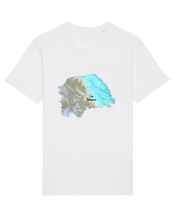 Suceava County Map White