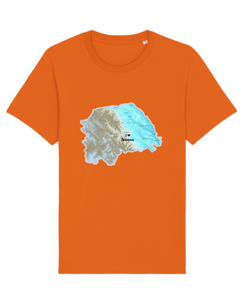 Suceava County Map Bright Orange