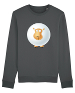 Oaie mirata Bluză mânecă lungă Unisex Rise