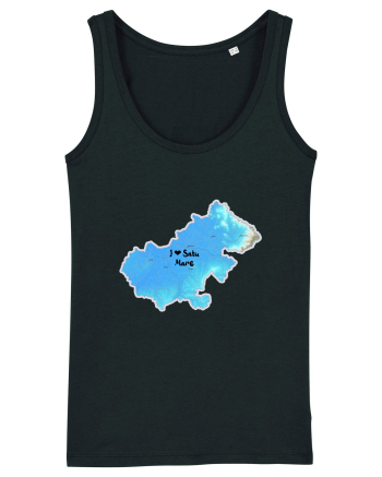 Satu Mare County Map Black