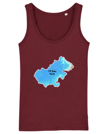 Satu Mare County Map Burgundy