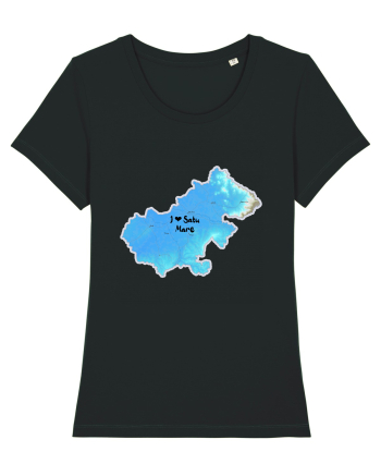 Satu Mare County Map Black