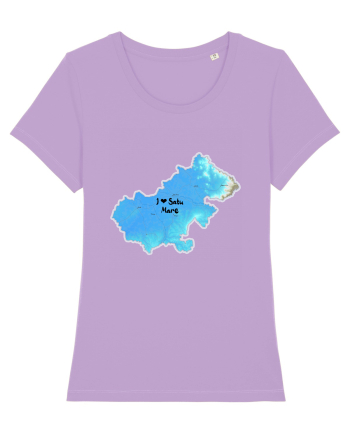 Satu Mare County Map Lavender Dawn