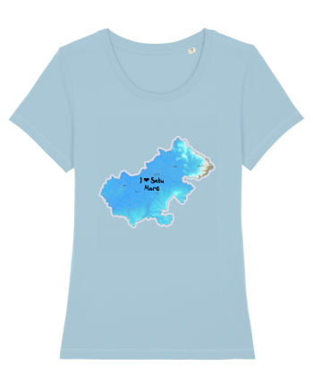 Satu Mare County Map Sky Blue
