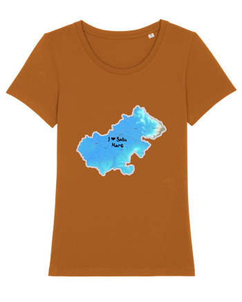 Satu Mare County Map Roasted Orange