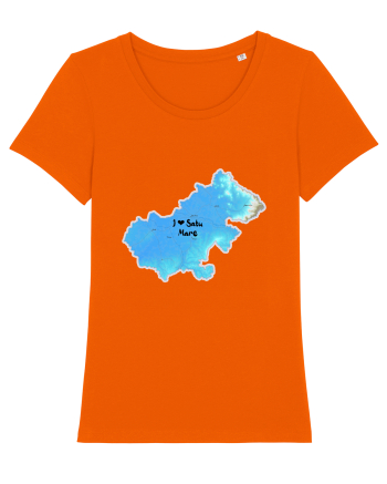Satu Mare County Map Bright Orange