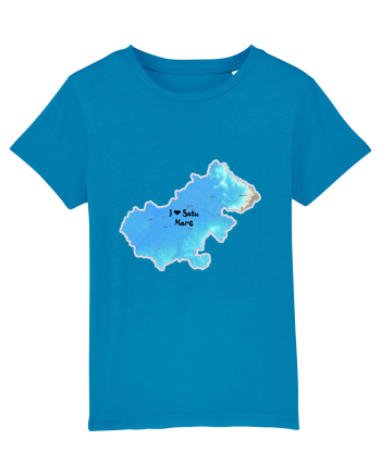 Satu Mare County Map Azur