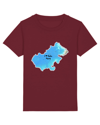 Satu Mare County Map Burgundy