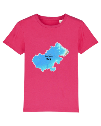 Satu Mare County Map Raspberry