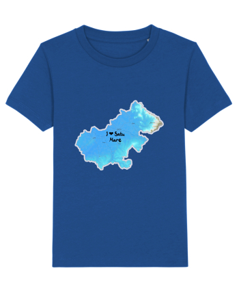 Satu Mare County Map Majorelle Blue