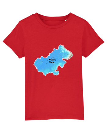 Satu Mare County Map Red
