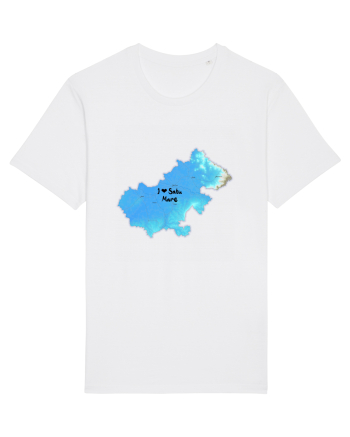 Satu Mare County Map White