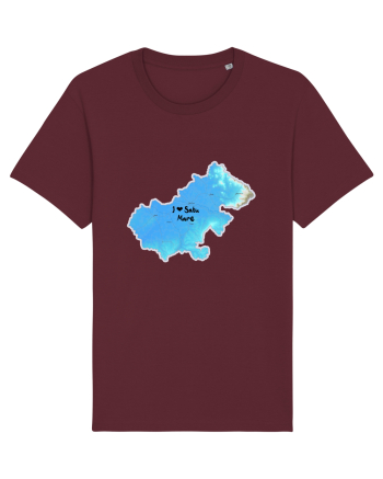 Satu Mare County Map Burgundy