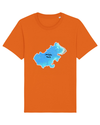 Satu Mare County Map Bright Orange