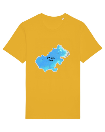 Satu Mare County Map Spectra Yellow