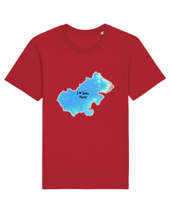 Satu Mare County Map Red