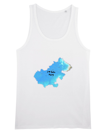 Satu Mare County Map White