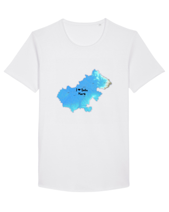Satu Mare County Map White