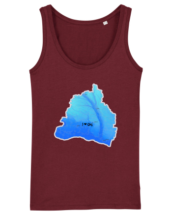 Dolj County Map Burgundy