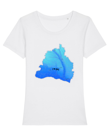 Dolj County Map White