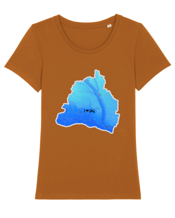 Dolj County Map Roasted Orange