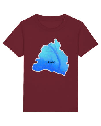 Dolj County Map Burgundy