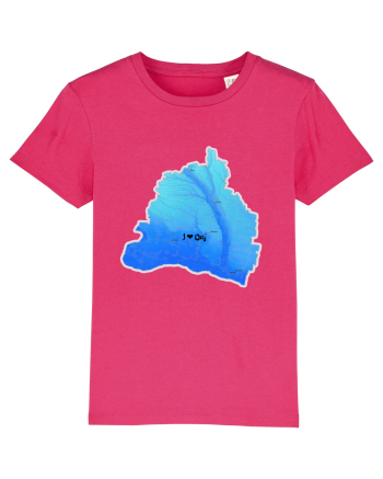 Dolj County Map Raspberry