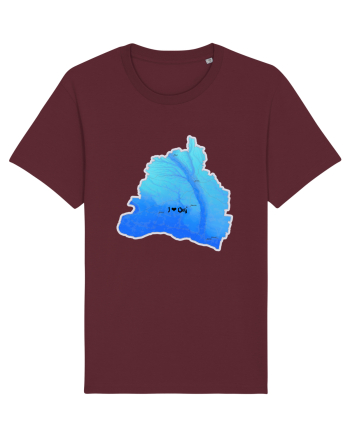 Dolj County Map Burgundy