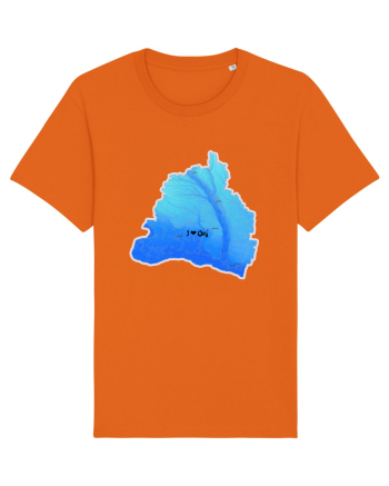 Dolj County Map Bright Orange