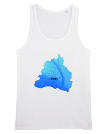 Dolj County Map White