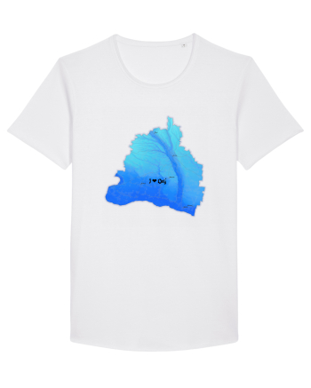 Dolj County Map White
